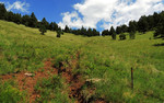 photo thumbnail #7