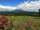 photo thumbnail #9