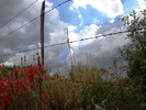 photo thumbnail #10