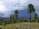 photo thumbnail #12