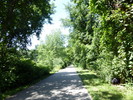 photo thumbnail #1
