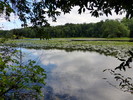 photo thumbnail #5