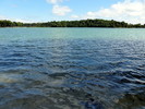photo thumbnail #12