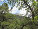 photo thumbnail #12