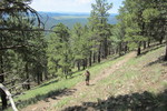 photo thumbnail #3