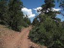 photo thumbnail #4
