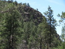photo thumbnail #5