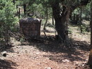 photo thumbnail #7