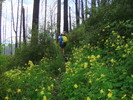 photo thumbnail #8