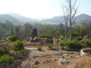 photo thumbnail #15