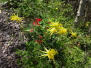 photo thumbnail #6