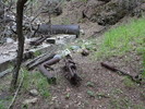 photo thumbnail #11