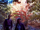 photo thumbnail #2