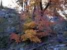 photo thumbnail #12
