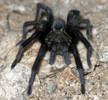 photo thumbnail #8