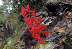 photo thumbnail #13