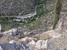 photo thumbnail #6
