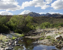 photo thumbnail #2