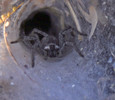 photo thumbnail #14