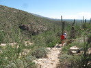 photo thumbnail #1