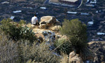 photo thumbnail #12
