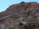 photo thumbnail #13