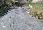 photo thumbnail #12