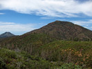 photo thumbnail #7