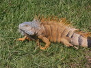 photo thumbnail #10