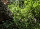 photo thumbnail #9