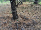 photo thumbnail #10