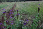 photo thumbnail #11