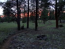 photo thumbnail #12