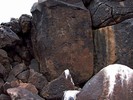 photo thumbnail #12
