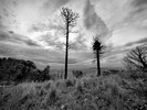 photo thumbnail #11