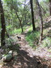 photo thumbnail #8