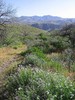 photo thumbnail #10