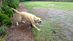 photo thumbnail #1