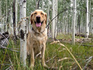 photo thumbnail #12