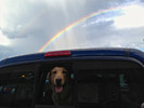 photo thumbnail #15