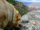 photo thumbnail #7