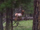photo thumbnail #2