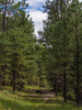 photo thumbnail #12