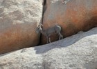 photo thumbnail #8
