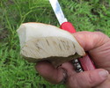 photo thumbnail #4