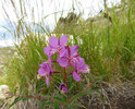 photo thumbnail #4