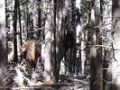 photo thumbnail #5