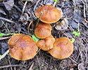 photo thumbnail #6