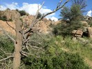 photo thumbnail #7