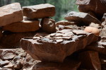 photo thumbnail #5